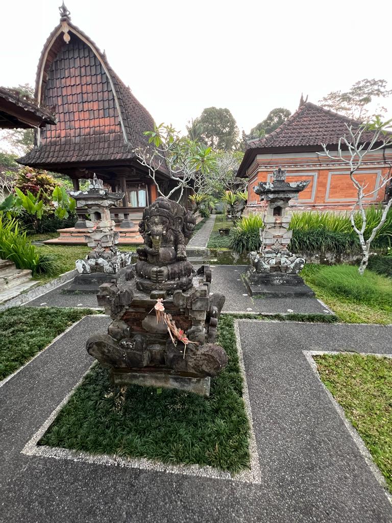 Authentic Balinese Cooking Class in Organic Farm with Market and Rice Field Tour