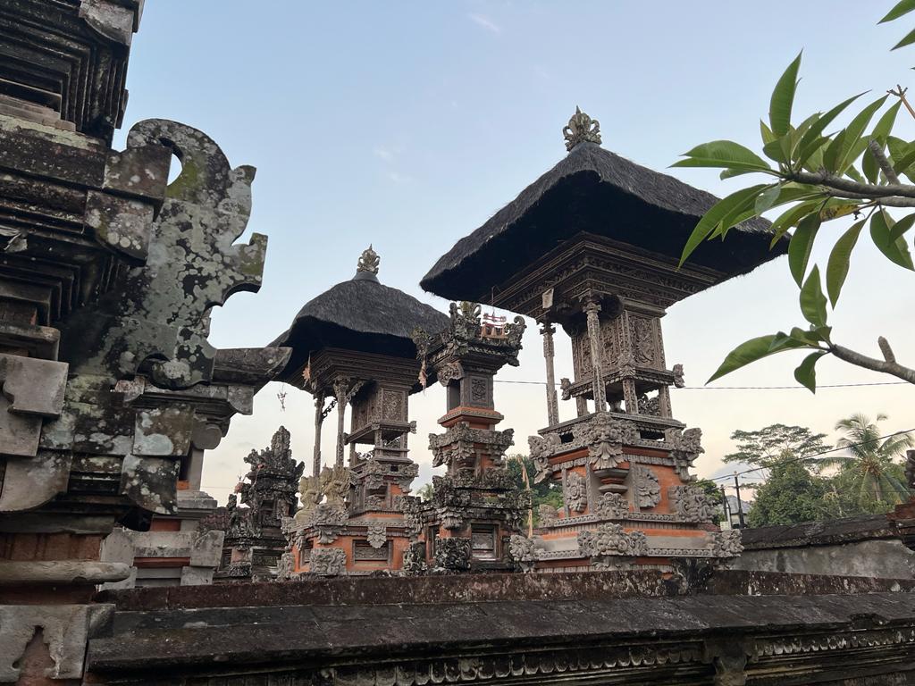 Authentic Balinese Cooking Class in Organic Farm with Market and Rice Field Tour