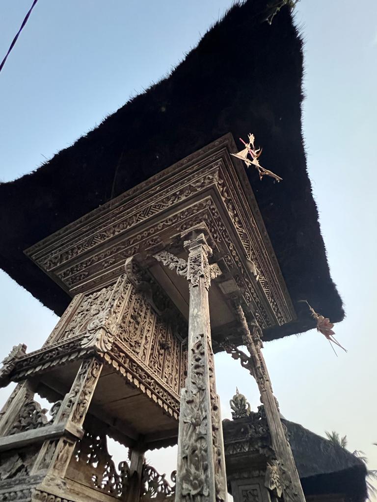 Authentic Balinese Cooking Class in Organic Farm with Market and Rice Field Tour