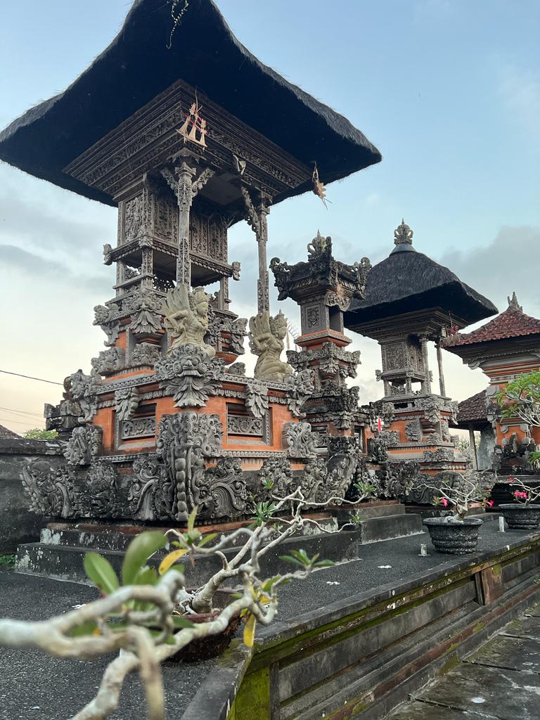 Authentic Balinese Cooking Class in Organic Farm with Market and Rice Field Tour