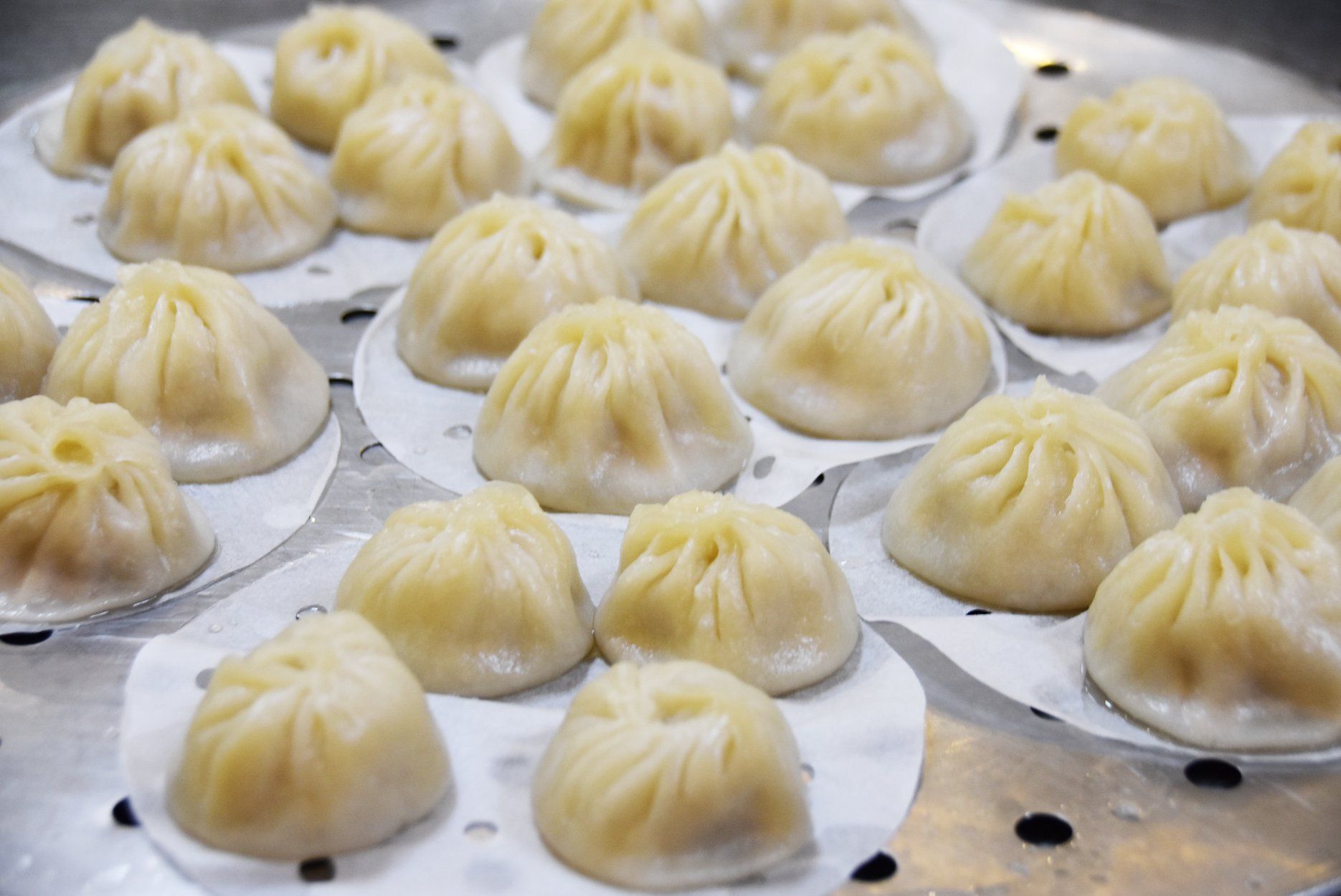 dumpling-chinese-dim-sum-free-stock-photo-public-domain-pictures