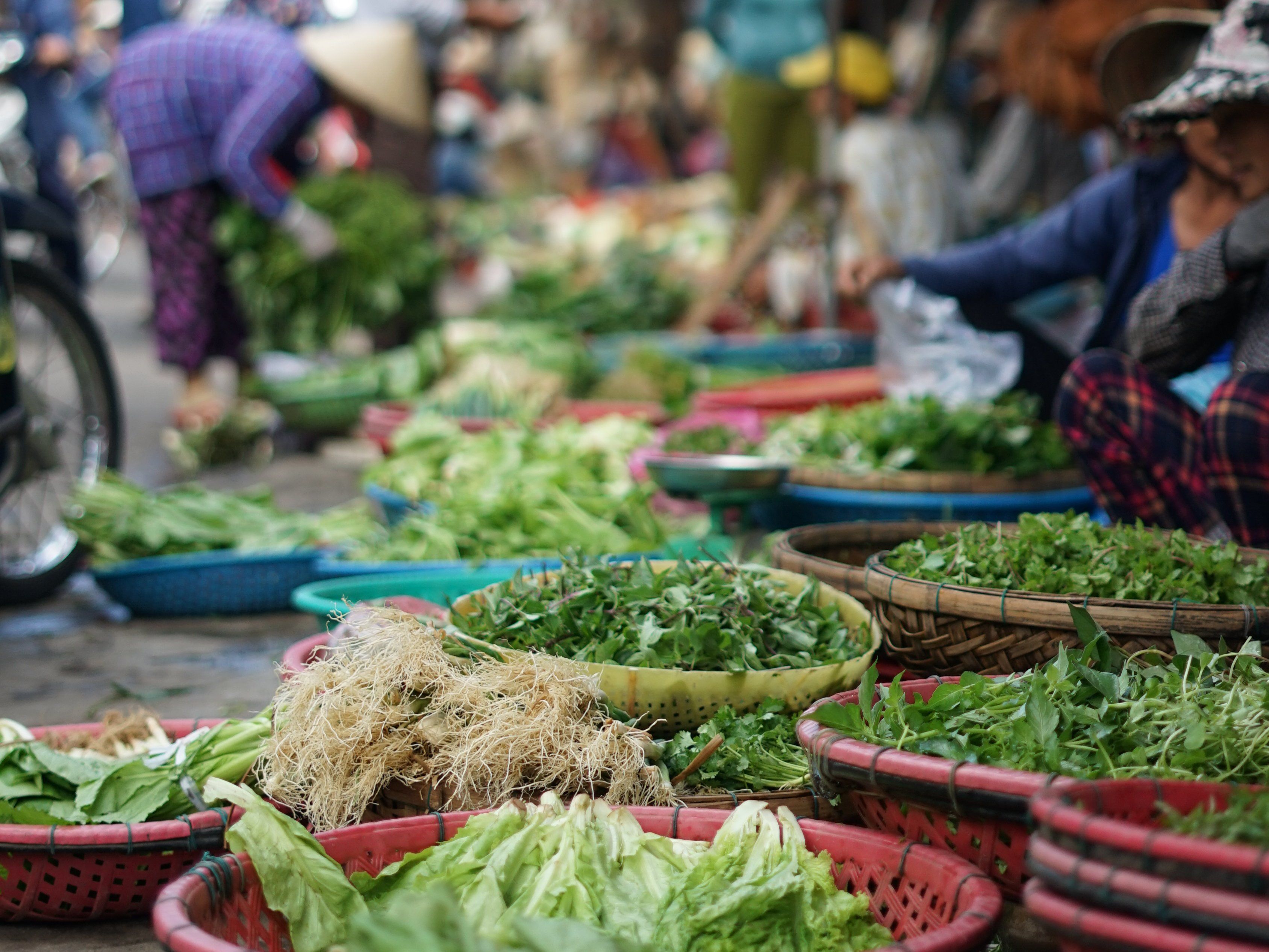 Authentic Cooking Class with Local Vietnamese Family in Rural Countryside