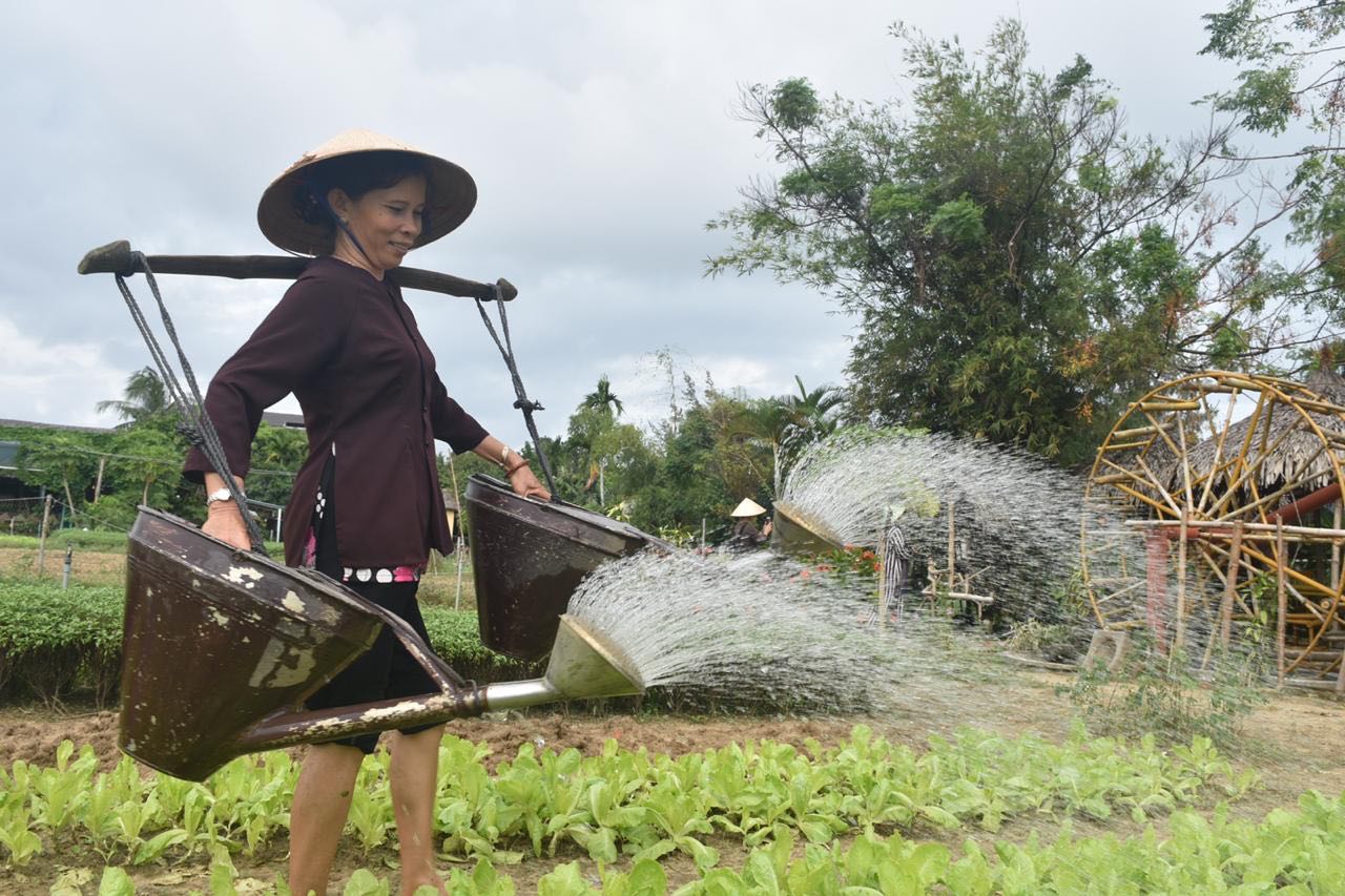 Tra Que Water Wheel Cooking Class with Organic Herb Garden Visits