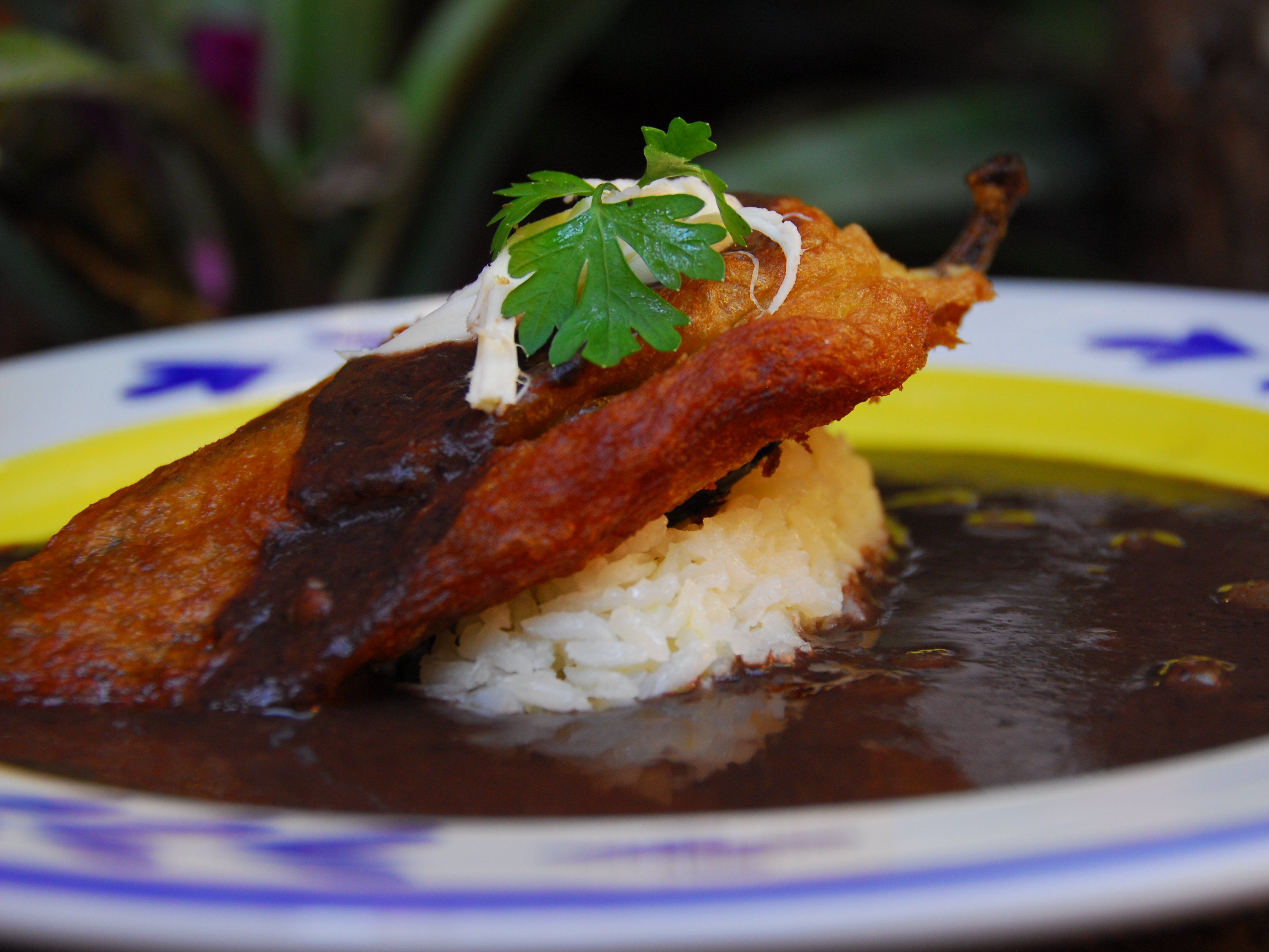 Authentic Oaxacan Cooking Experience and Market Tour