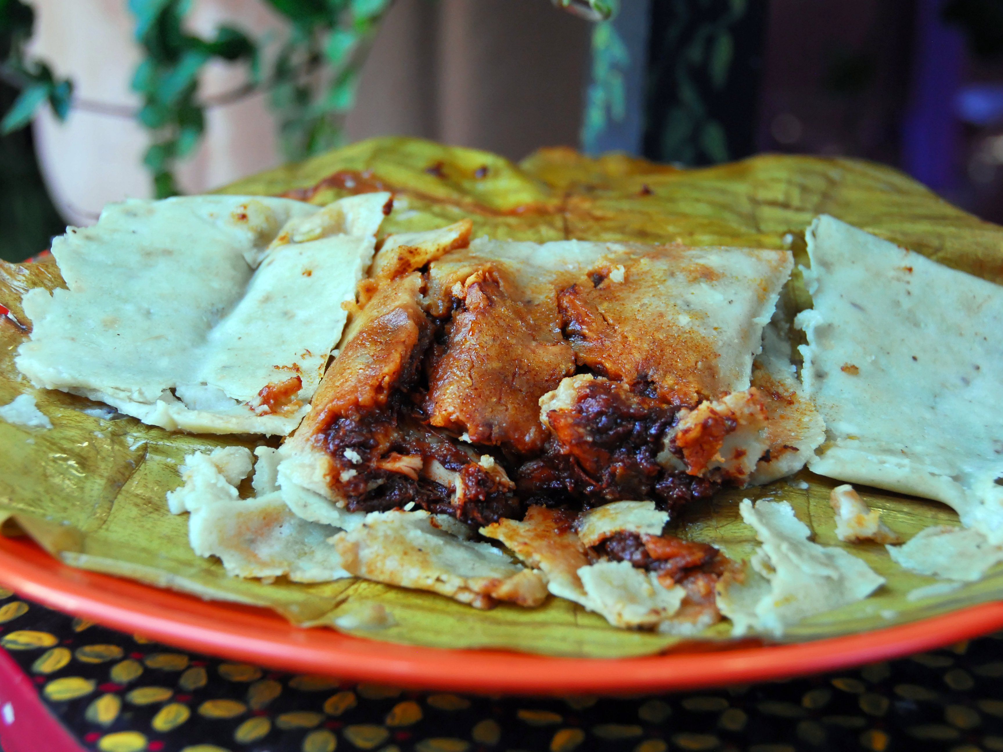Authentic Oaxacan Cooking Experience and Market Tour