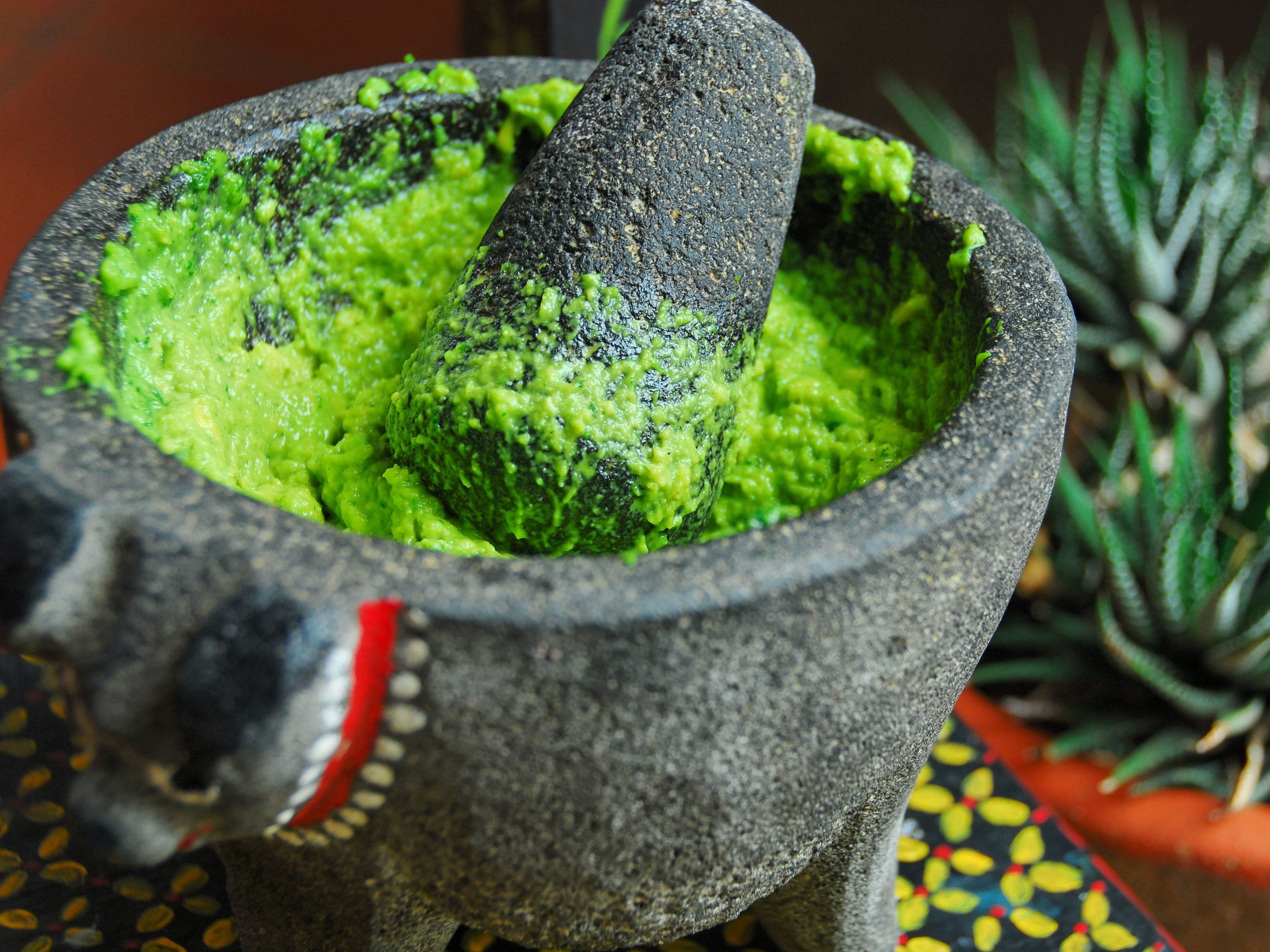 Authentic Oaxacan Cooking Experience and Market Tour