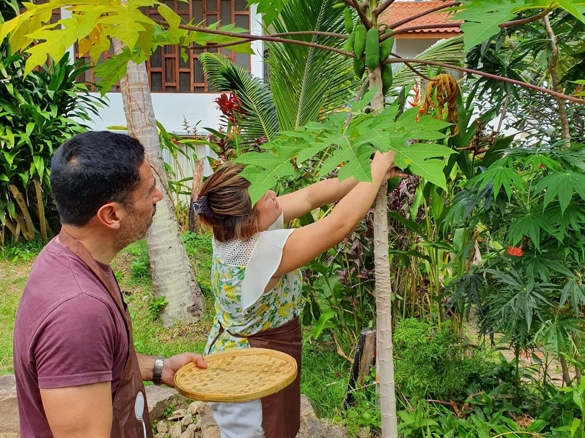 Learn to Make Thai Dishes in an Intimate Neighborhood