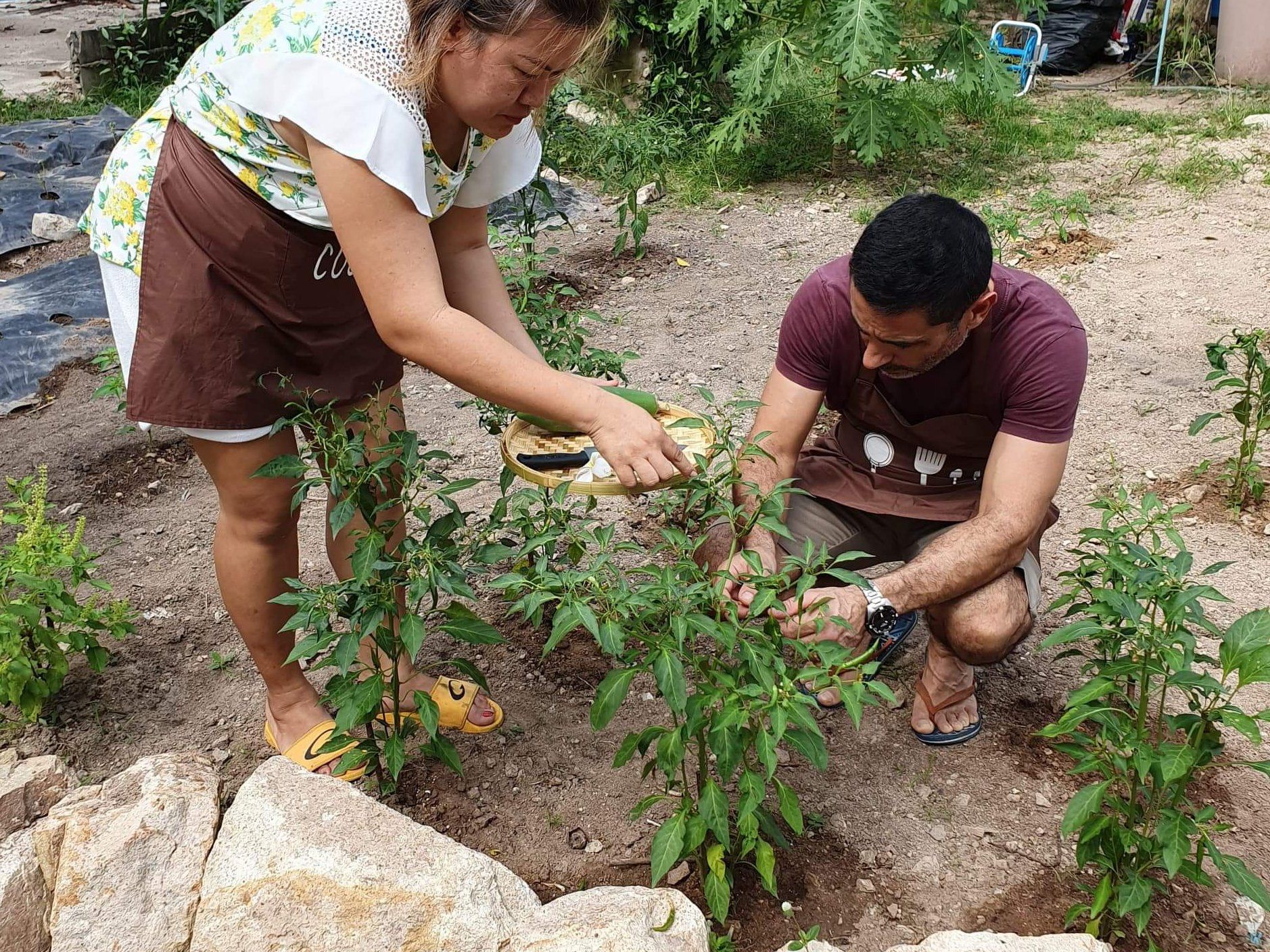 Learn to Make Thai Dishes in an Intimate Neighborhood