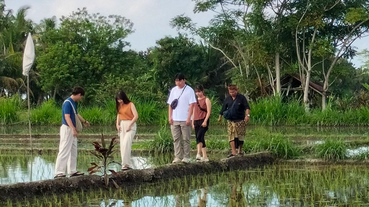 Cours de cuisine balinaise authentique et visite d'une ferme dans le village de Bakas