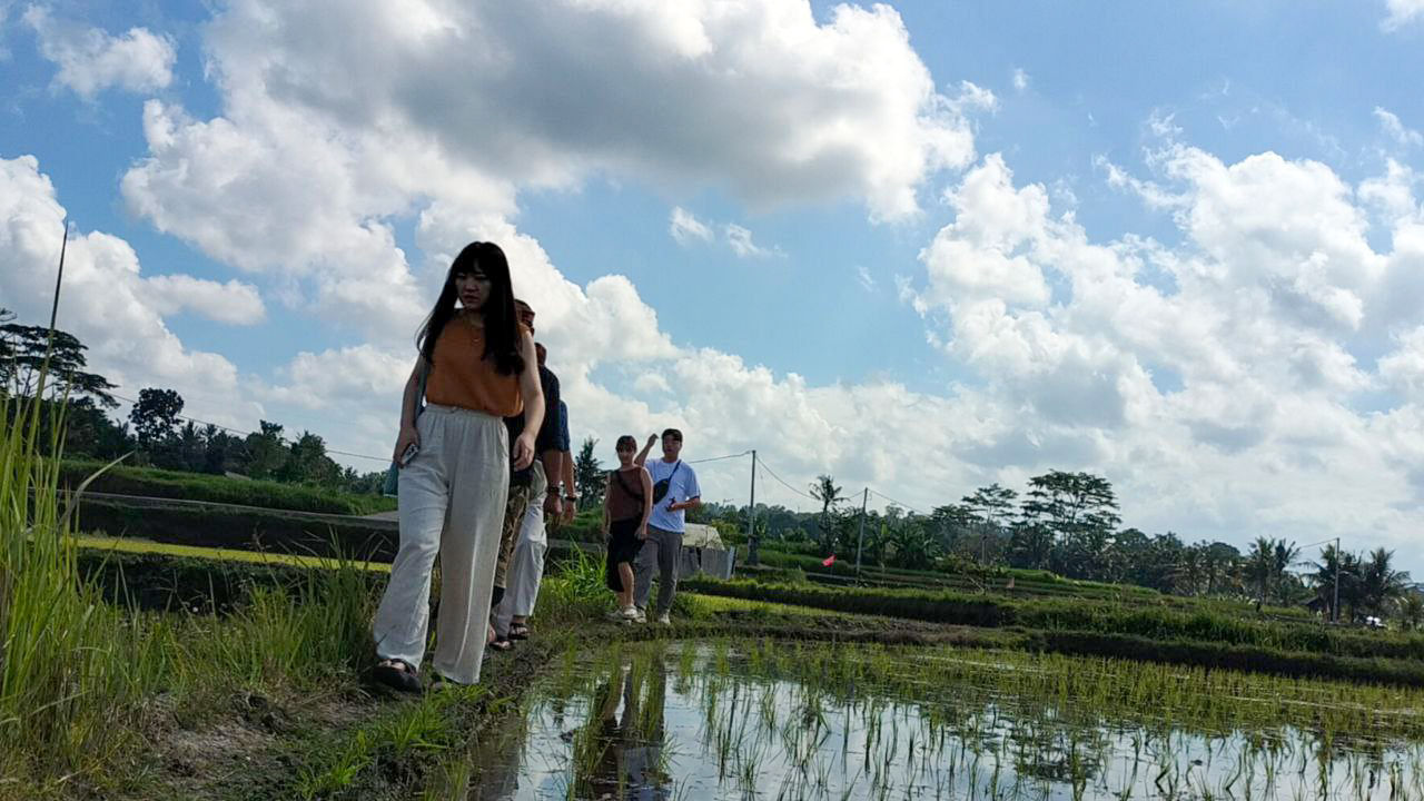 Cours de cuisine balinaise authentique et visite d'une ferme dans le village de Bakas