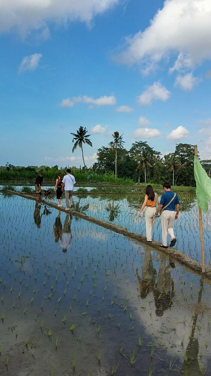 Cours de cuisine balinaise authentique et visite d'une ferme dans le village de Bakas