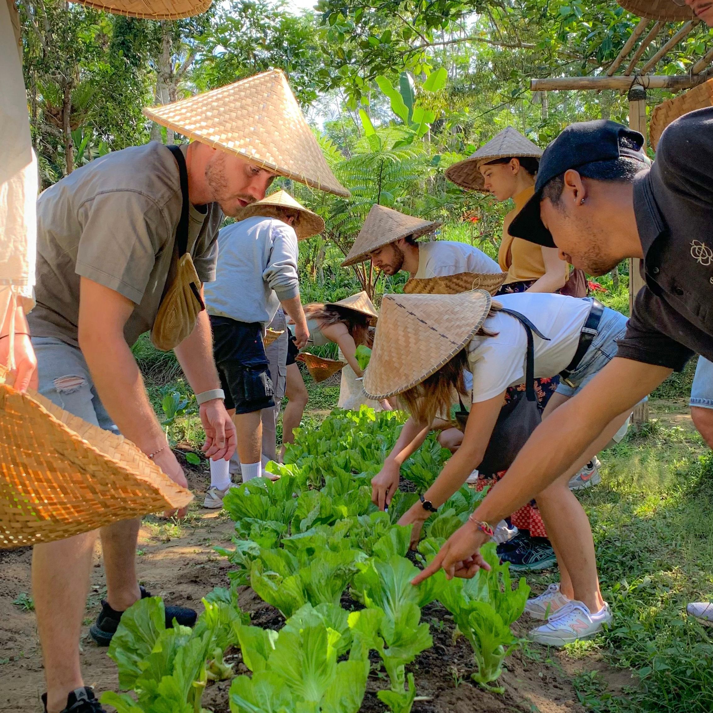 Balinese Afternoon Cooking Class in a Family Farm