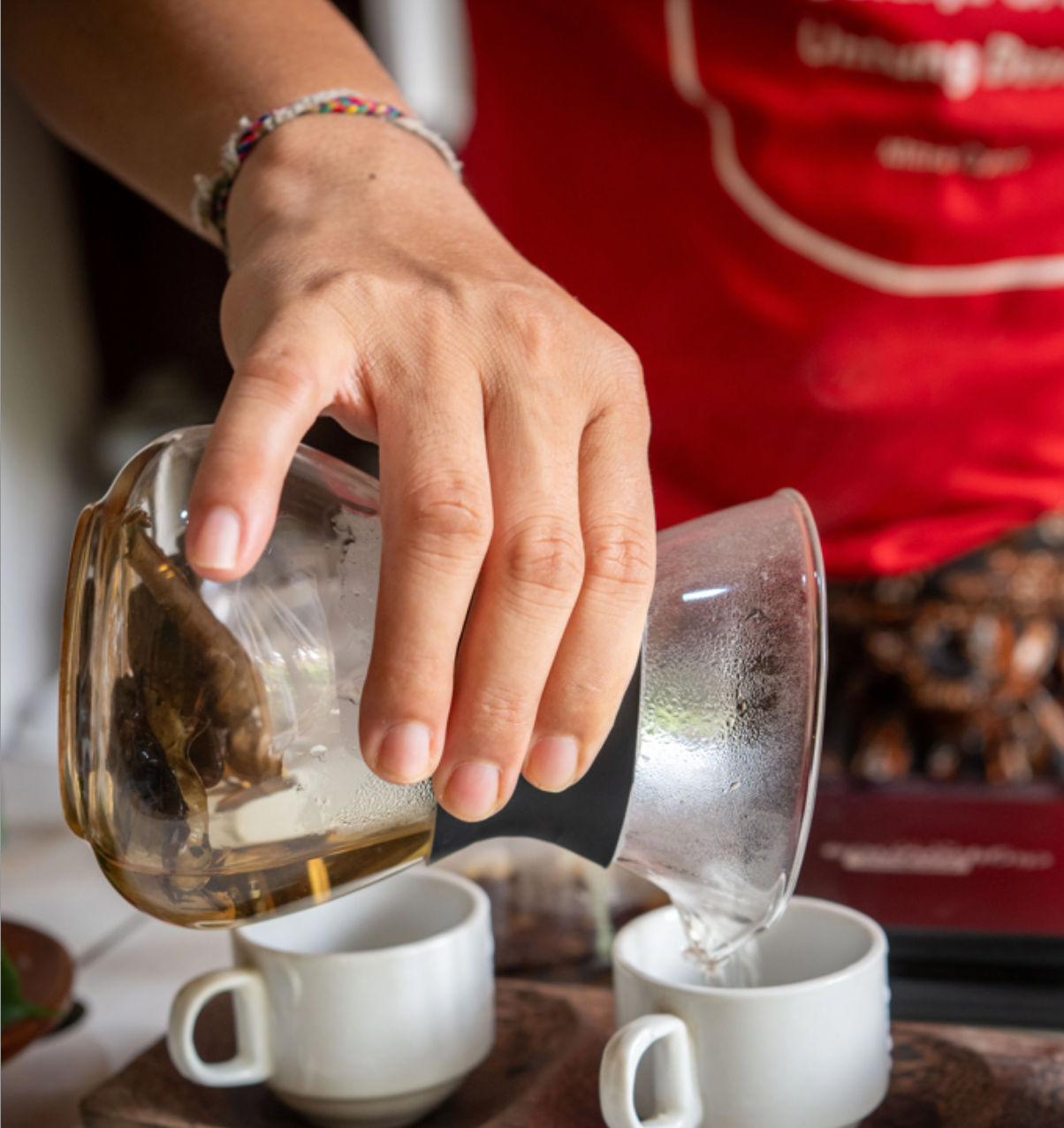 Balinese Coffee Brewing and Farm Tour with Lunch