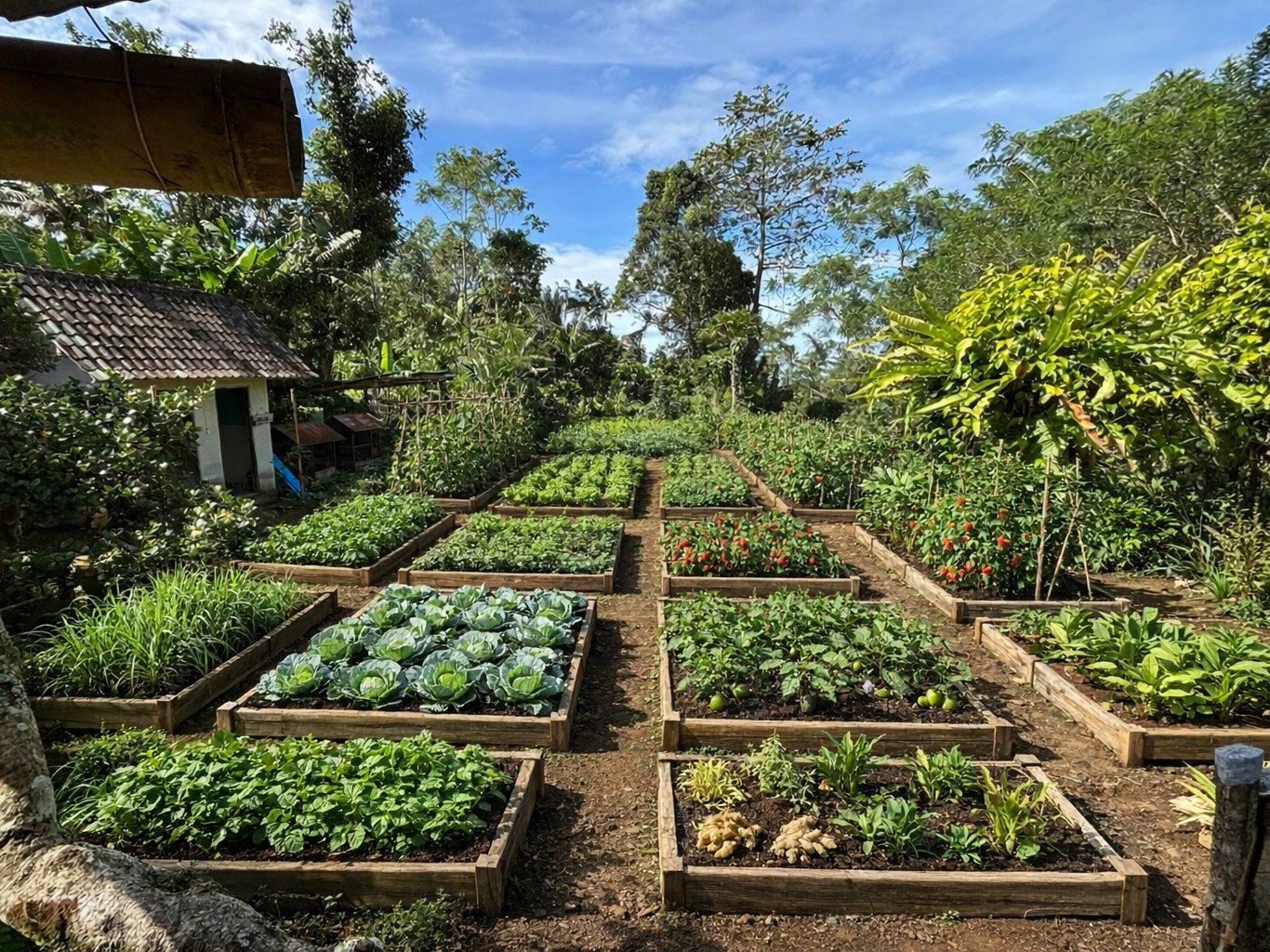 Authentic Balinese Farm-to-Table Cooking Class in Ubud with Market Visit