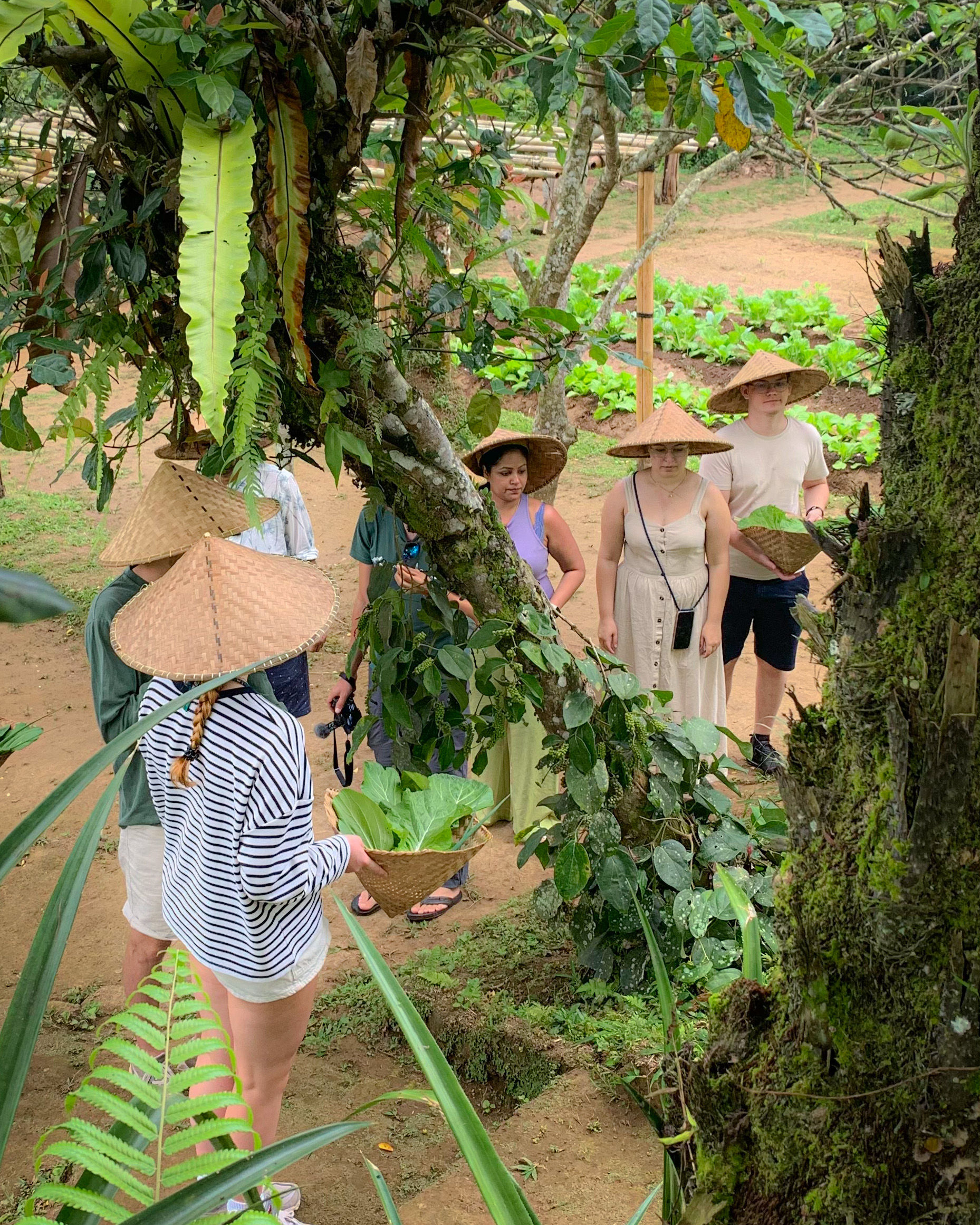 Balinese Morning Cooking Class in a Family Farm