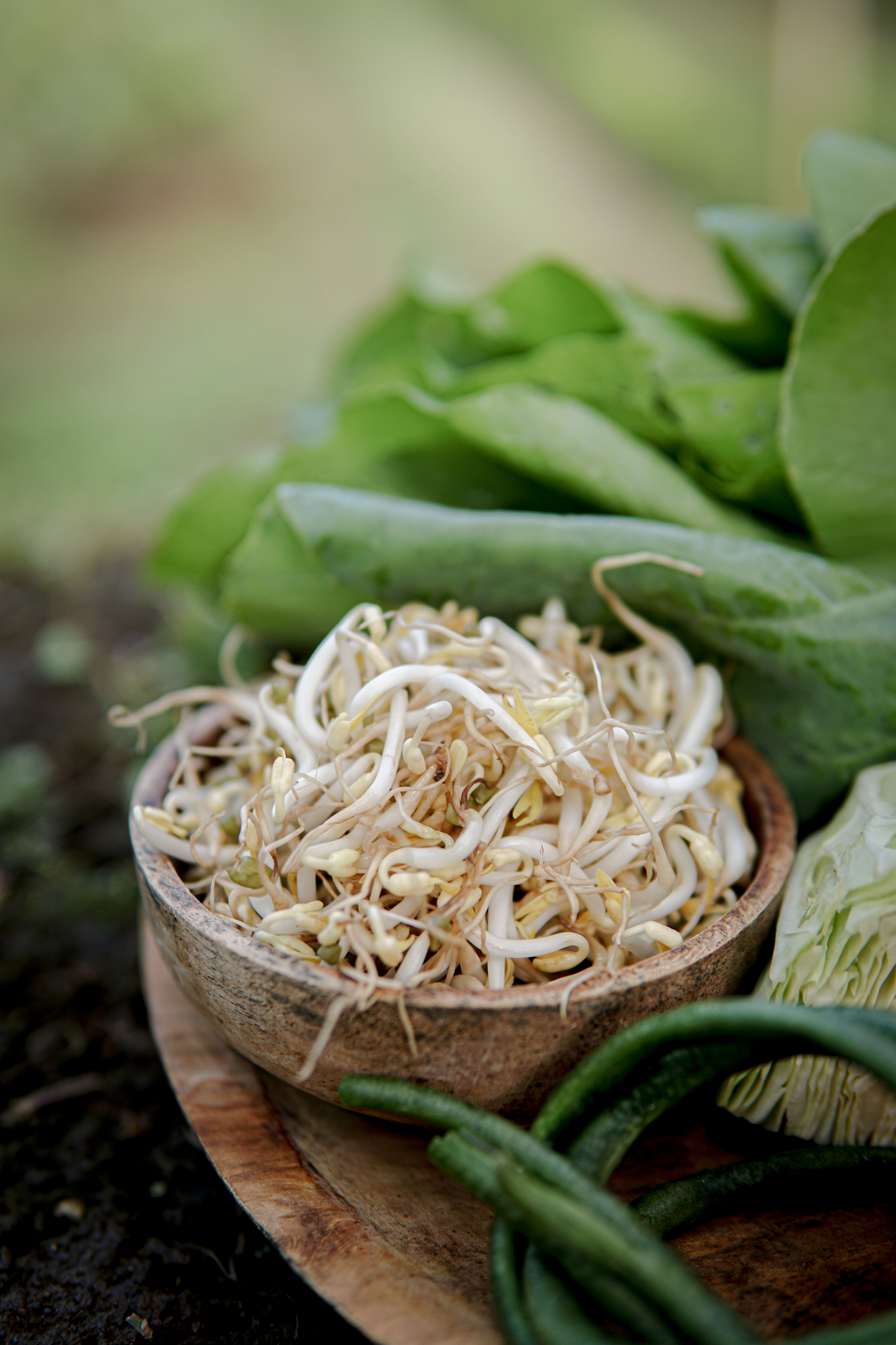 Balinese Morning Cooking Class in a Family Farm