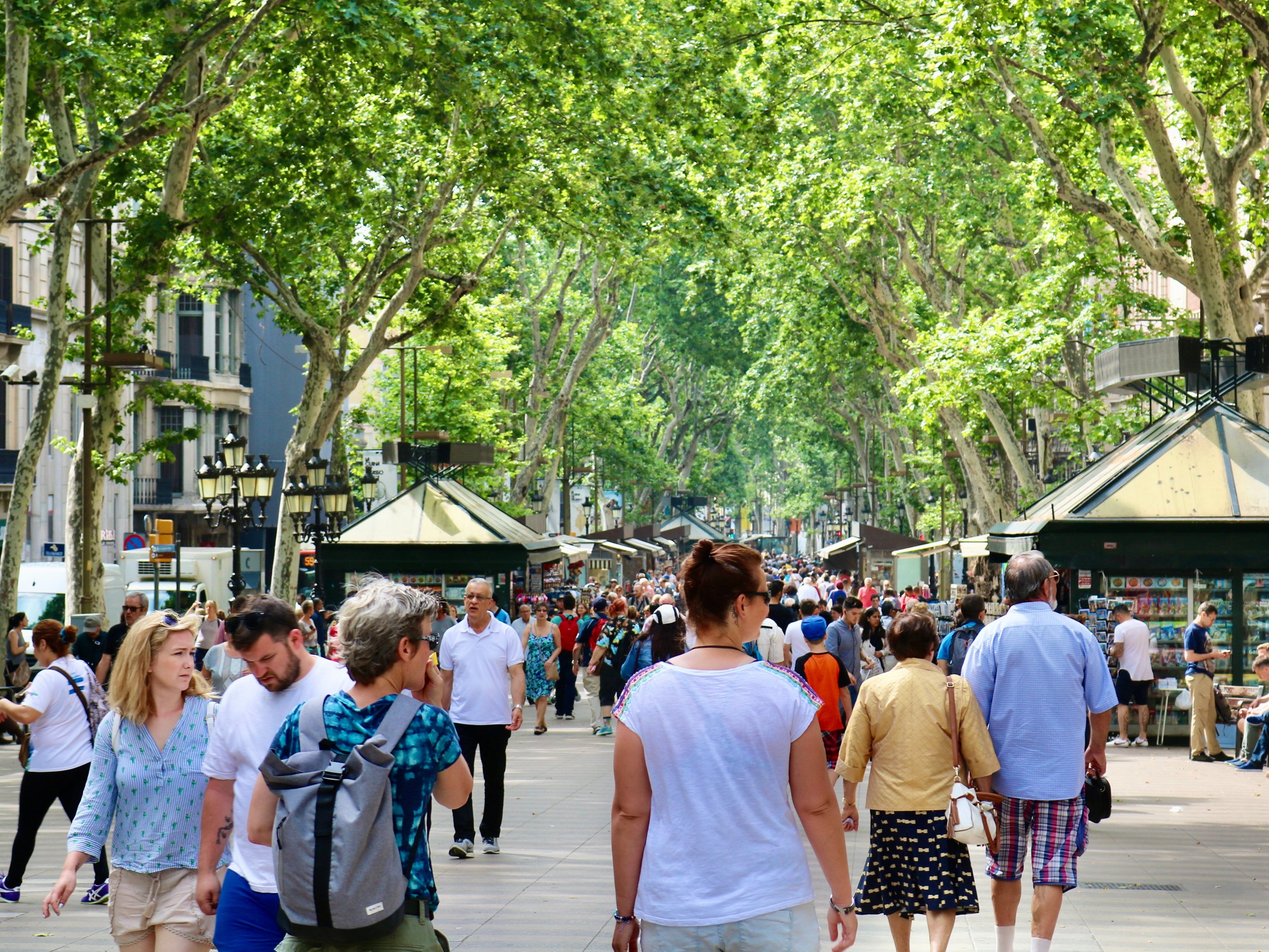 Barcelona Culinary Experience: Market Visit, Tapas, Sangria and Paella Cooking Class