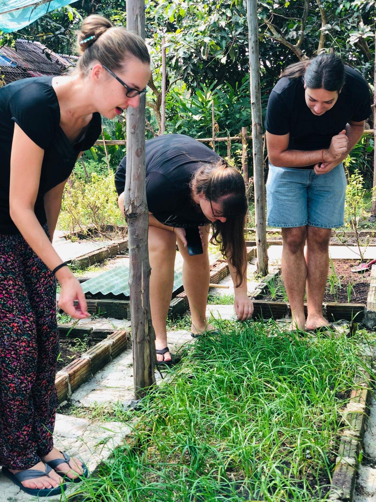 Benny's Home Cooking Class with Local Market Visit & Organic Garden Tour