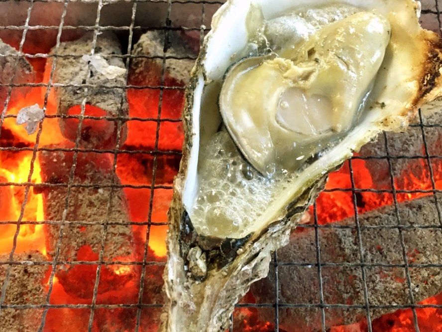 Best of Hiroshima Food Tour