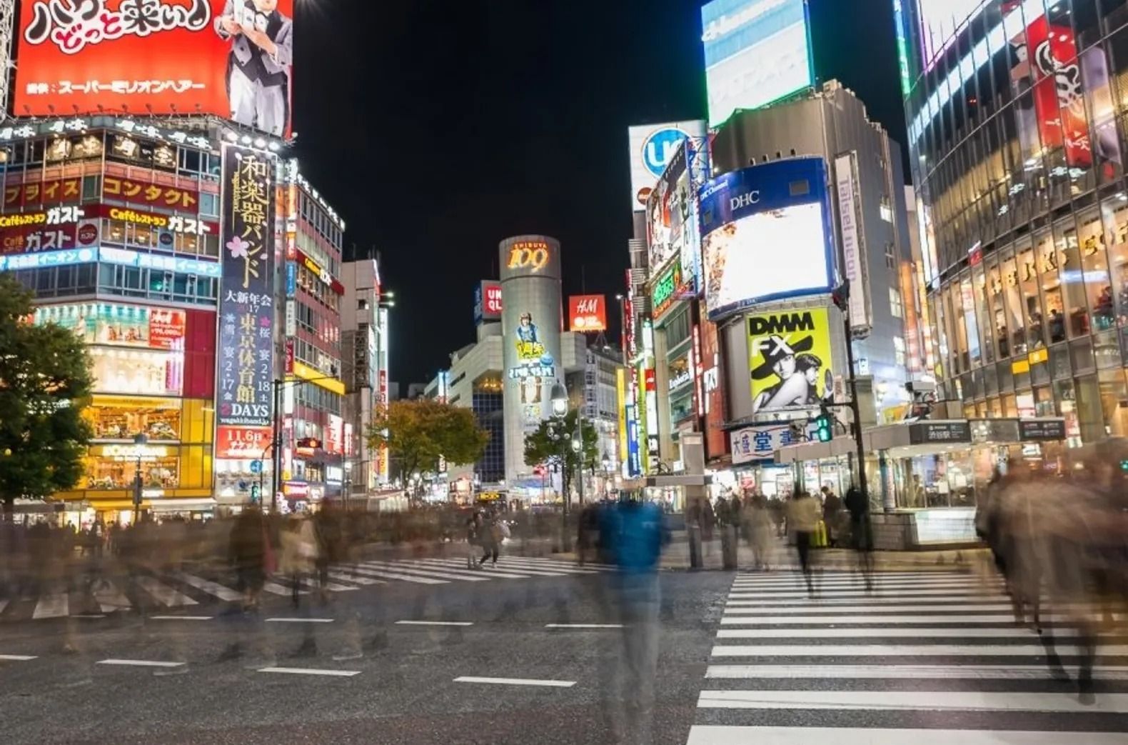 Best of Shibuya Evening Food Tour