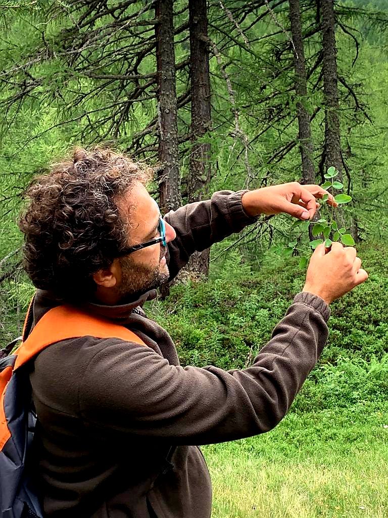 Discover Edible Wild Plants on a Botanical Walk