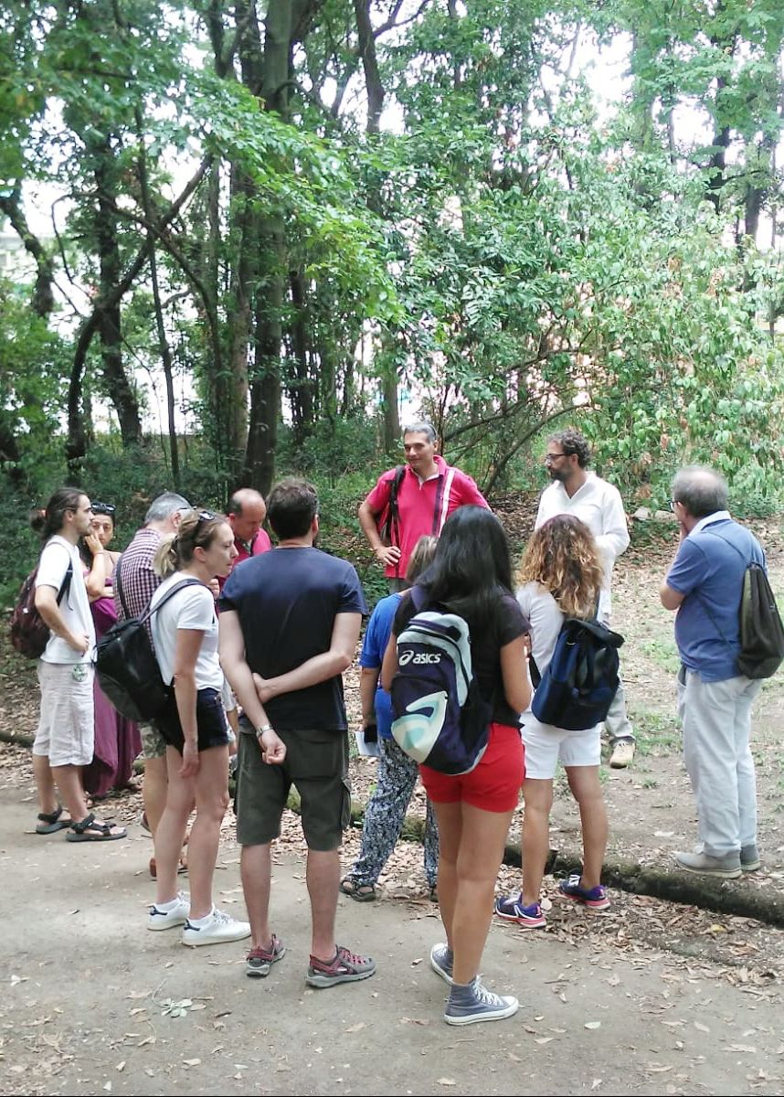 Discover Edible Wild Plants on a Botanical Walk