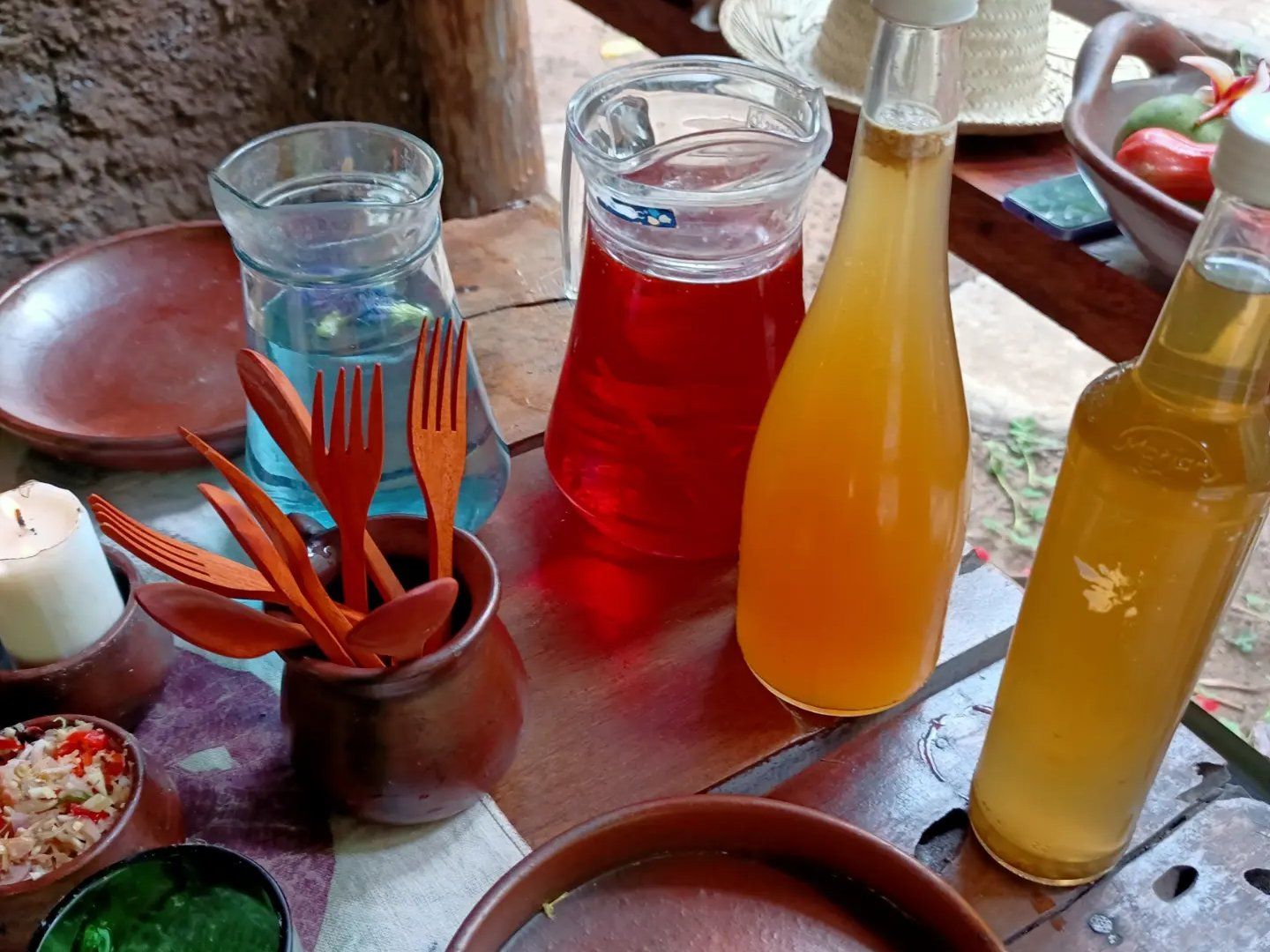 SHAYA Junglekitchen - The Plant Based Food Hunters with KIDS Academy
