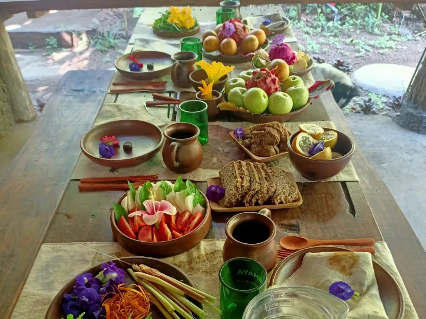 SHAYA Junglekitchen - The Plant Based Food Hunters with KIDS Academy