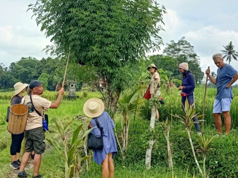 SHAYA Junglekitchen - The Plant Based Food Hunters with KIDS Academy