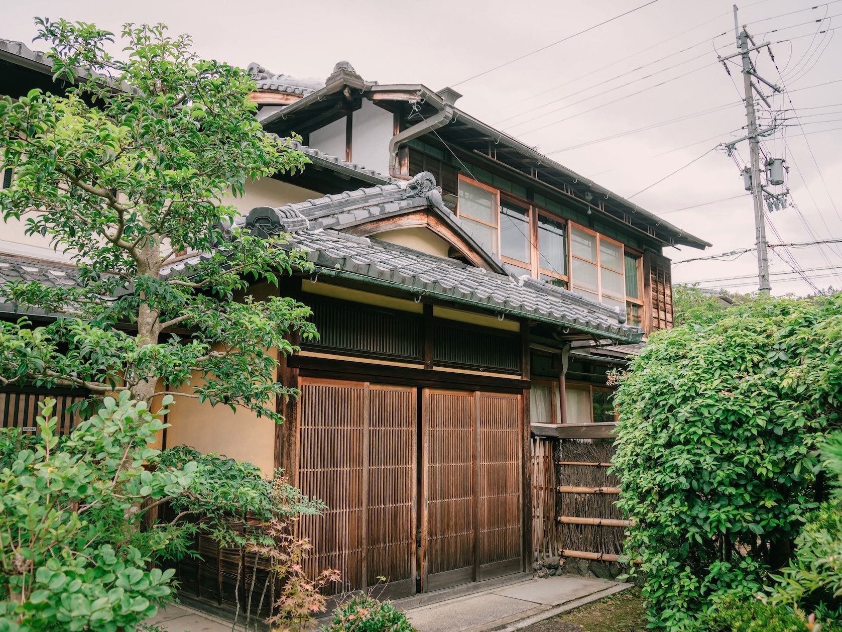 Tea Ceremony Camellia Private Tea Ceremony at Camellia Garden's 100
