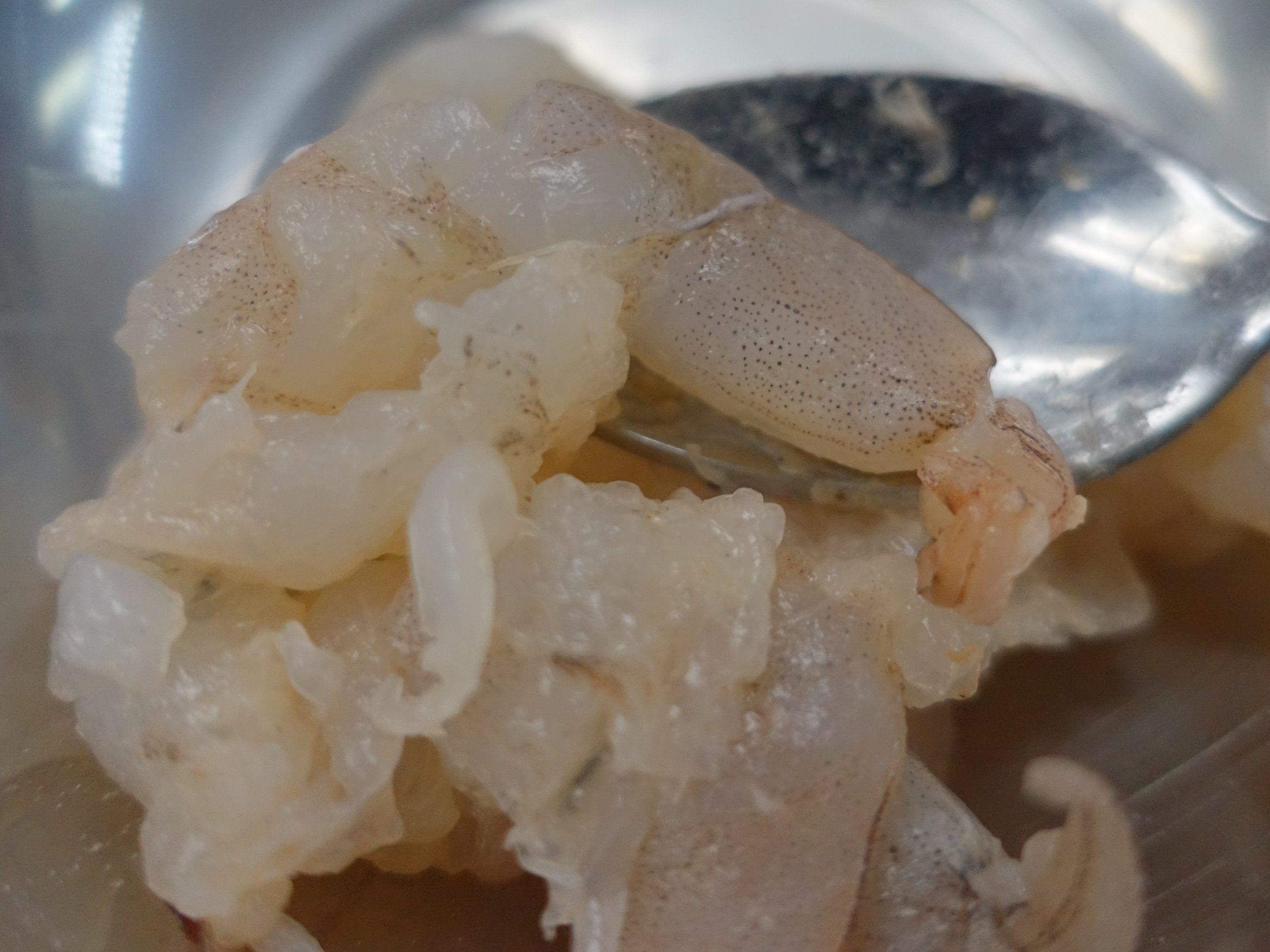 中華風蒸しパンと焼きパンケーキ、フラワーティー添え（ヴィーガンまたは非ヴィーガン）