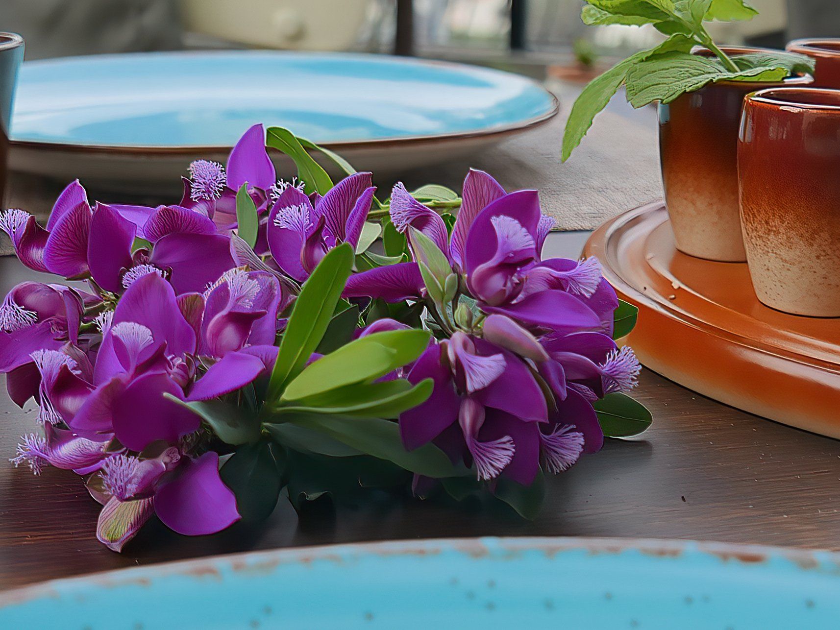 Cretan Traditional Home Cooking Class