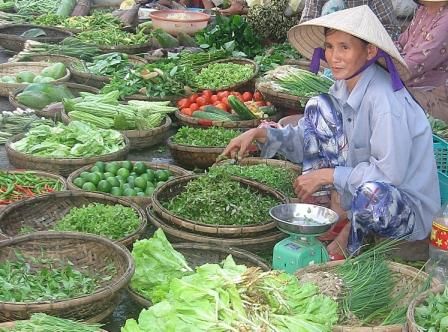 Red Bridge Half Day Journey, Market Tour, Boat Trip, Herb Garden Walk, and Hands on Cooking