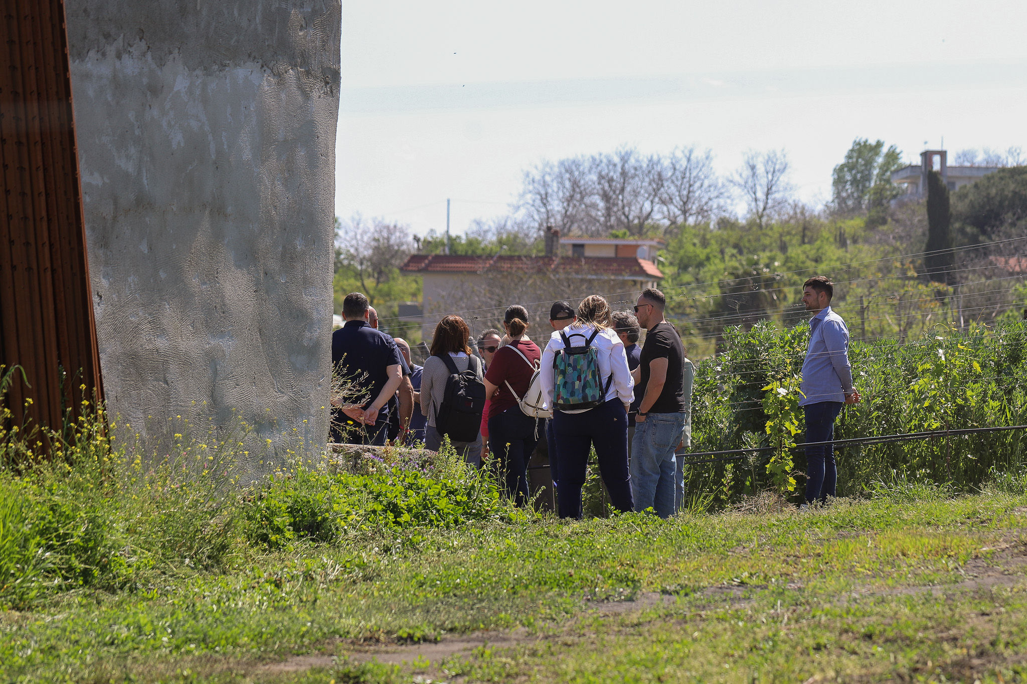Mount Vesuvius Wine Tasting with Vineyard Views & Traditional Lunch Experience
