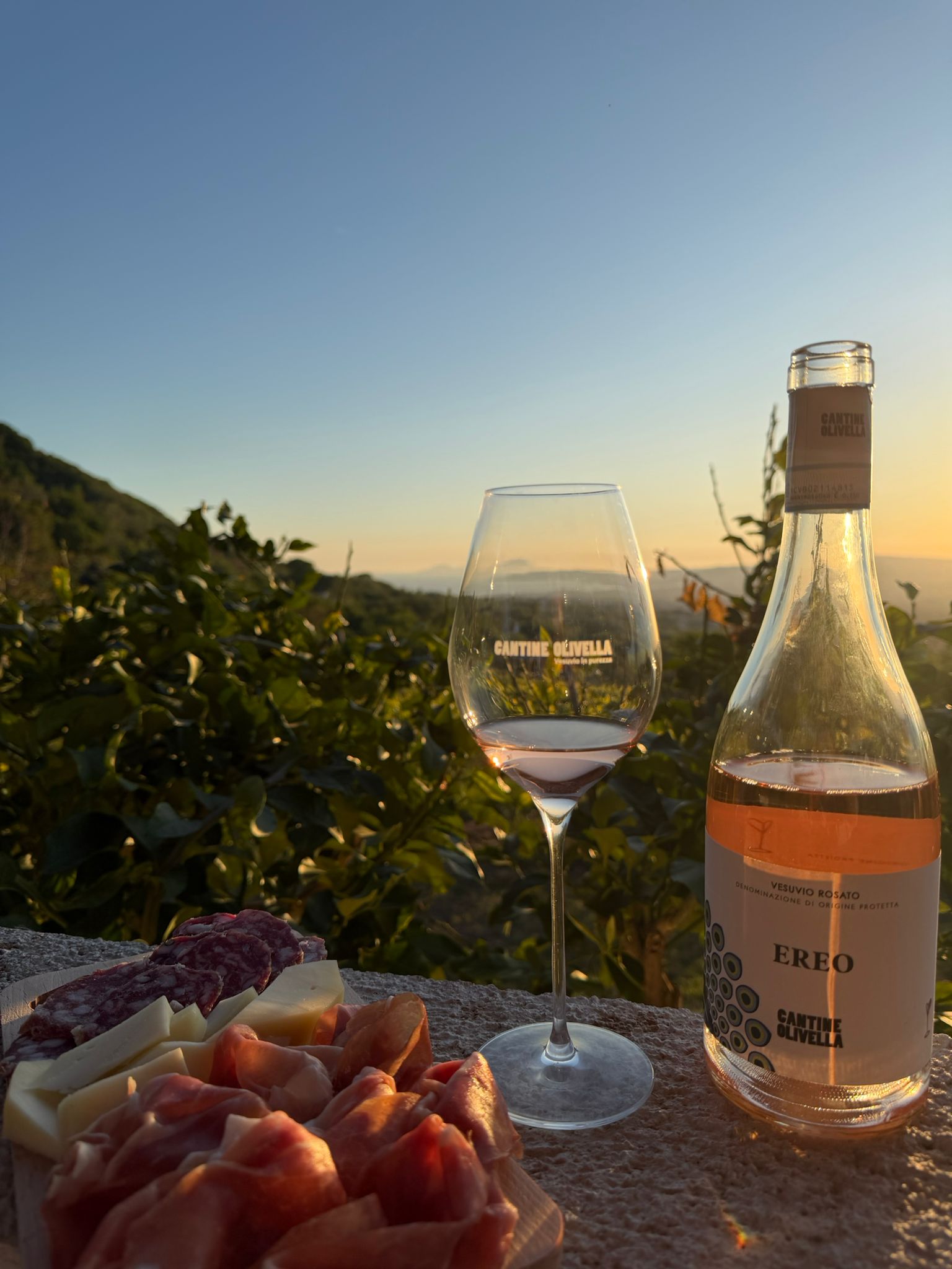 Mount Vesuvius Wine Tasting with Vineyard Views & Traditional Lunch Experience