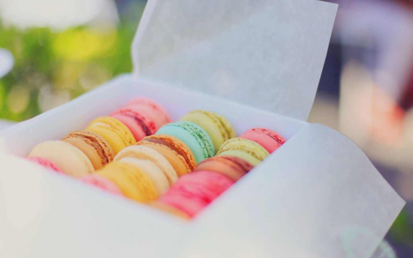 Online Course: Macarons