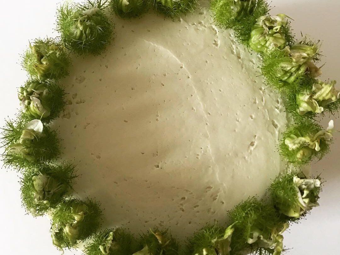 Contemporary Raw and Vegan Desserts Class