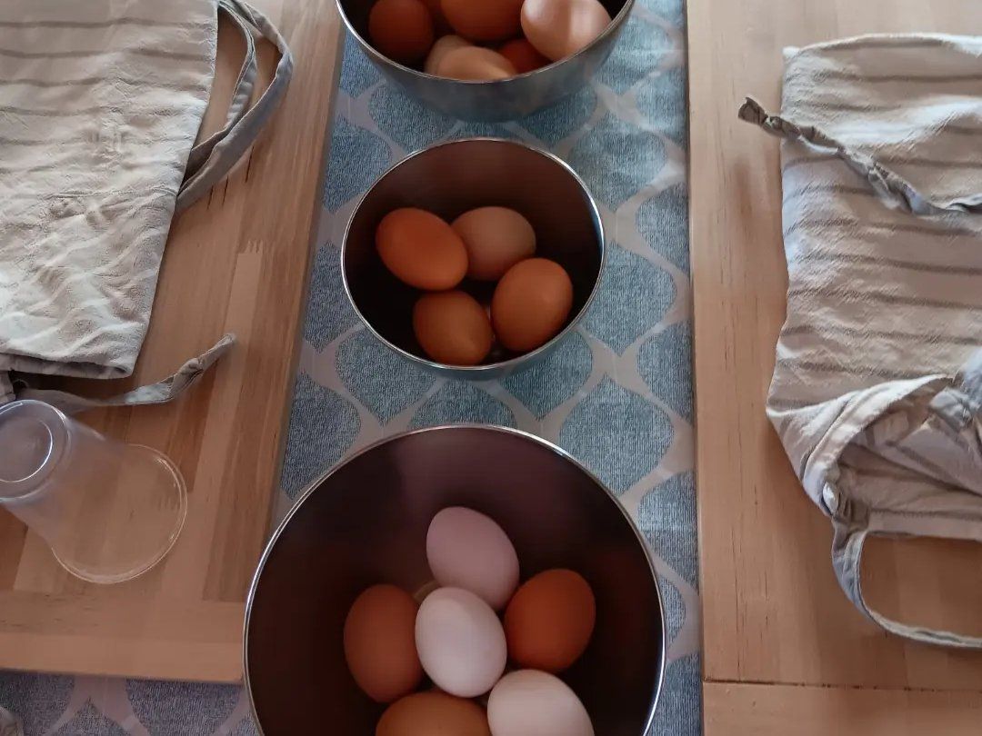 Cook and Eat Fresh Pasta and Tiramisù in the Umbrian Hills