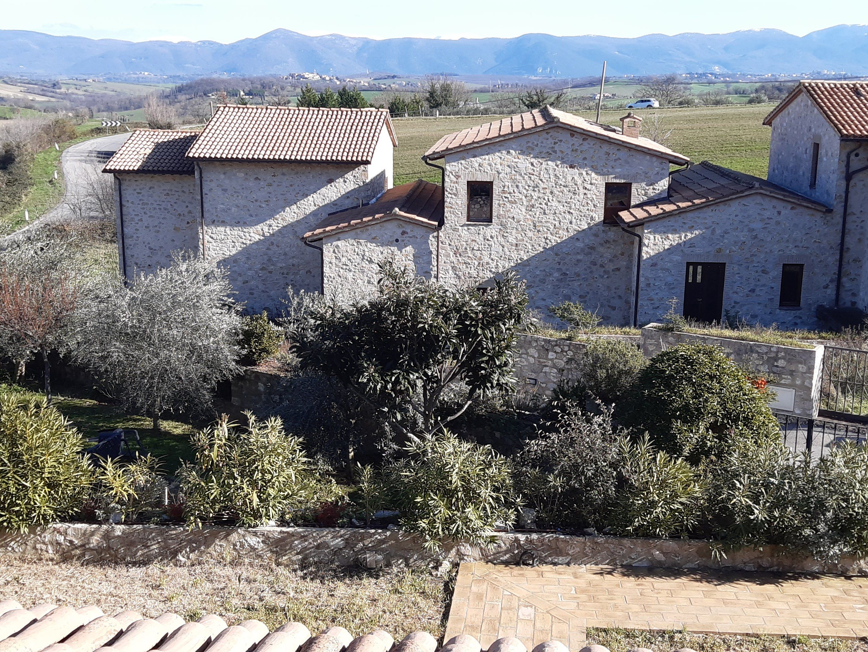 Cook and Eat Fresh Pasta and Tiramisù in the Umbrian Hills