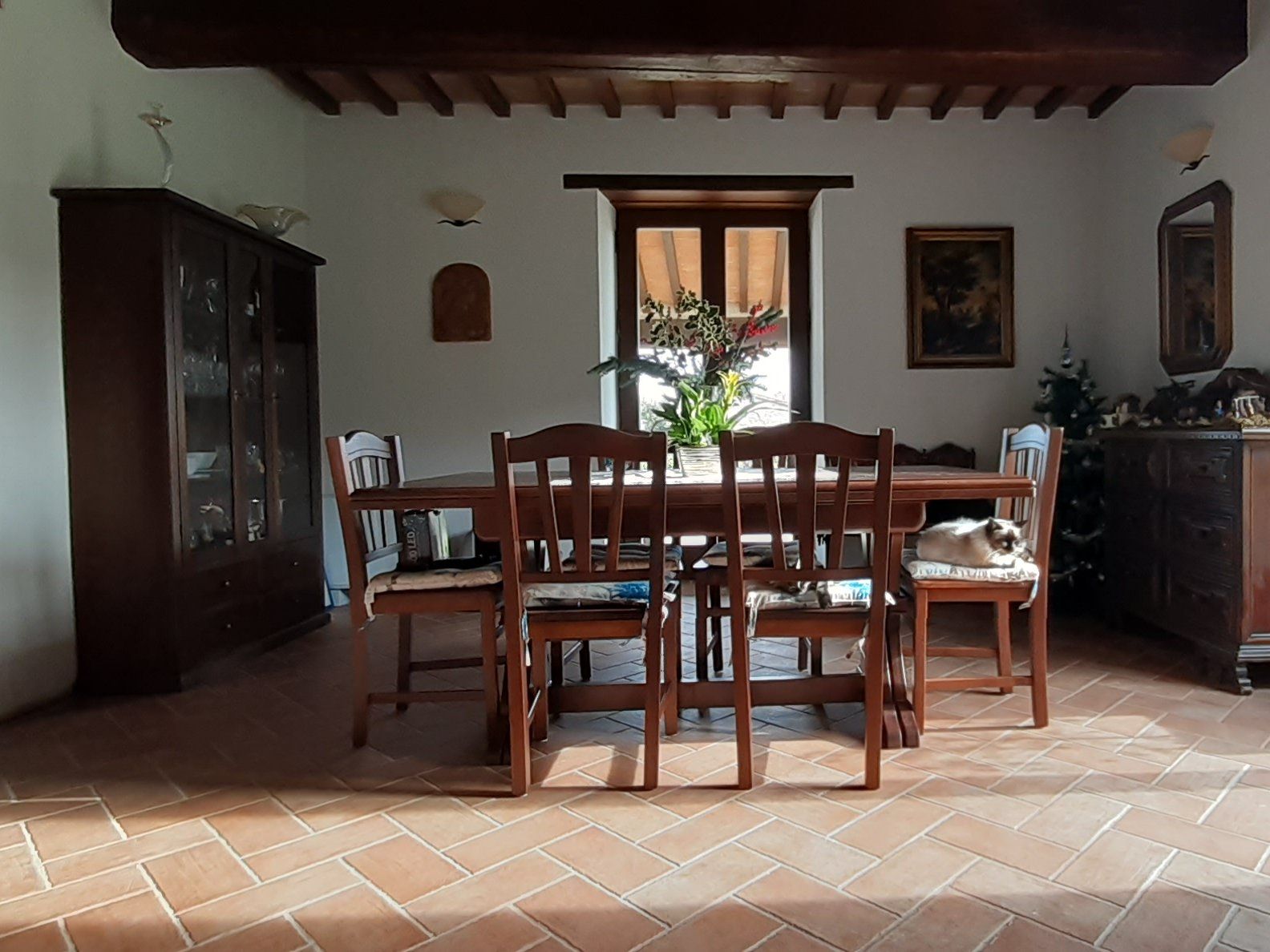 Cook and Eat Fresh Pasta and Tiramisù in the Umbrian Hills