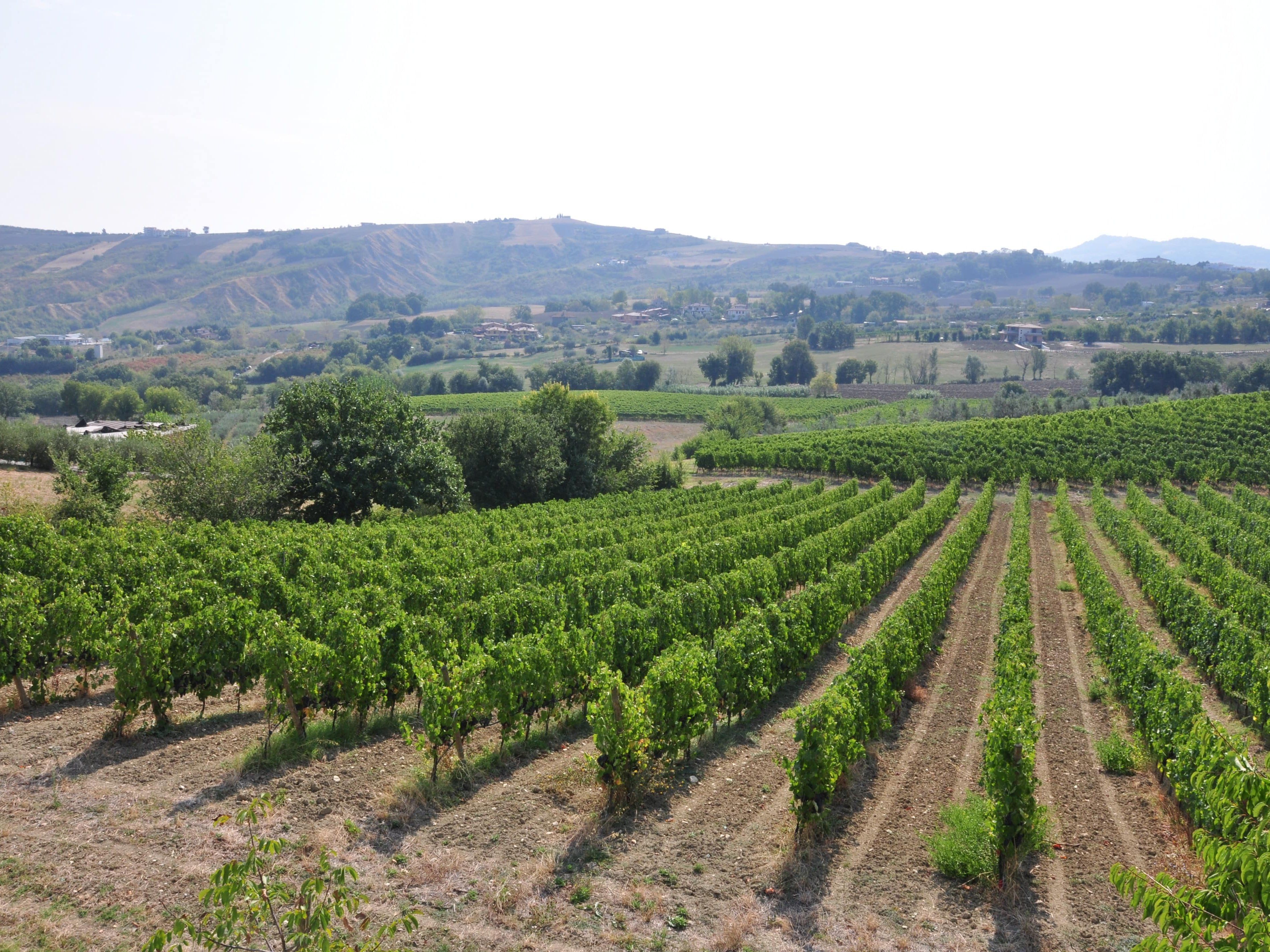 Cuisinez comme un local dans la campagne de Saint-Marin