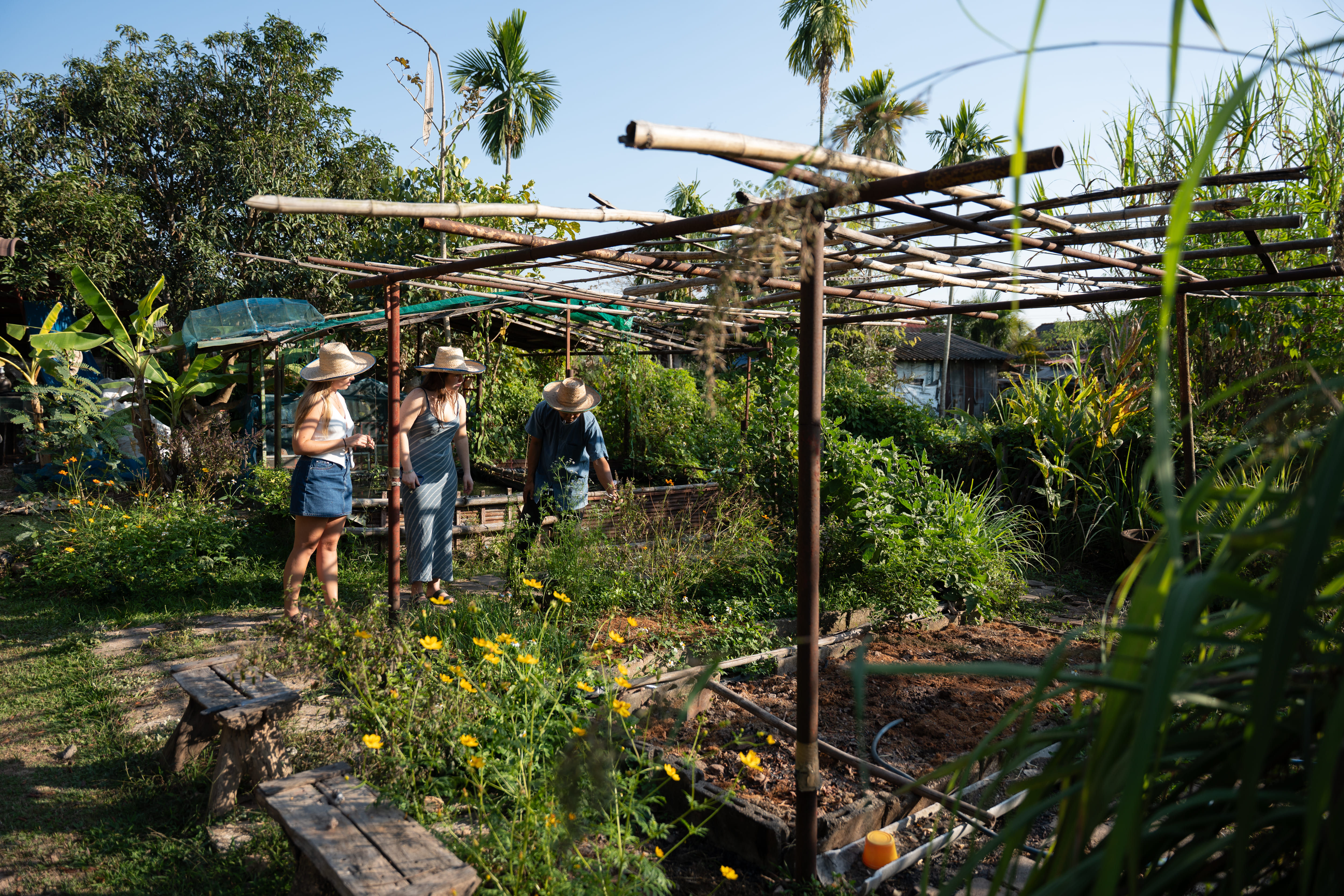 Cooking Experience with a Local Organic Farmer & Fresh Market Visit