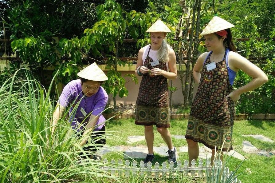 Private Class Morning & Evening with Fresh Ingredients at Organic Garden & Market