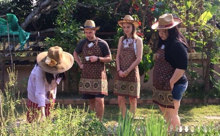 Private Class Morning & Evening with Fresh Ingredients at Organic Garden & Market