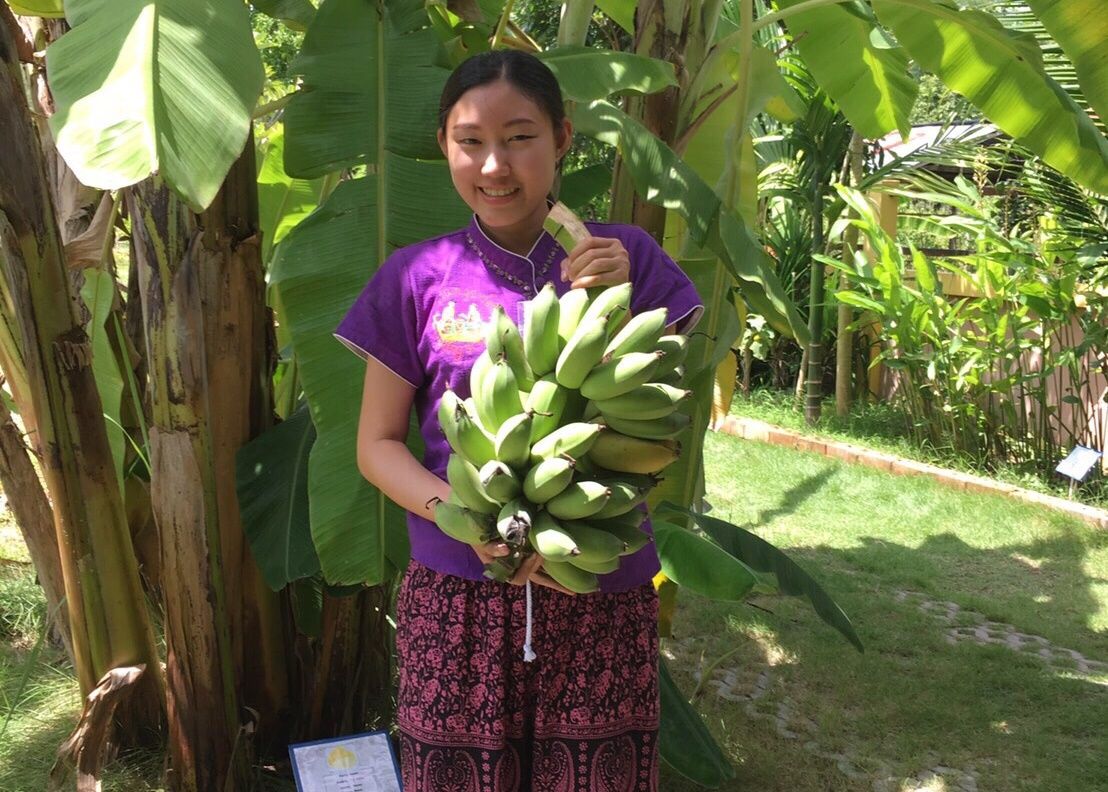 Koche mit frischen Zutaten: vom thailändischen Garten zum Wok!