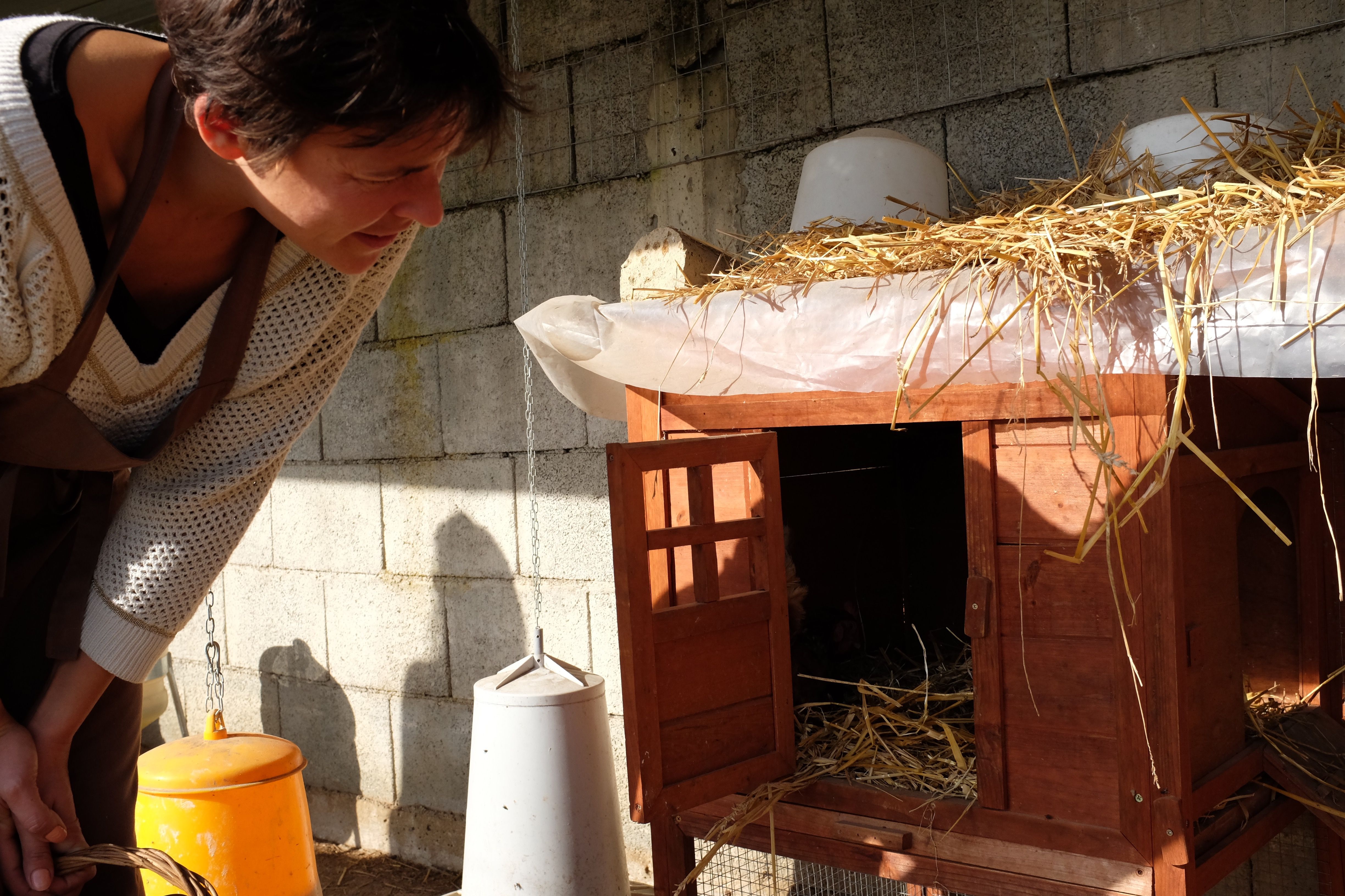 Kochen auf dem Bauernhof: Pastaherstellung