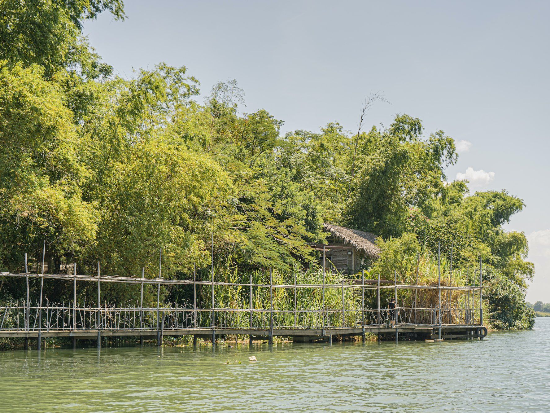 Adventurous Cooking Class on Bamboo Forest Island