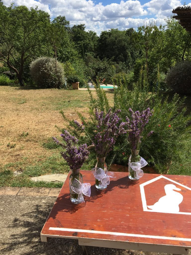"Choose Your Own Menu" Cooking Class in San Casciano dei Bagni