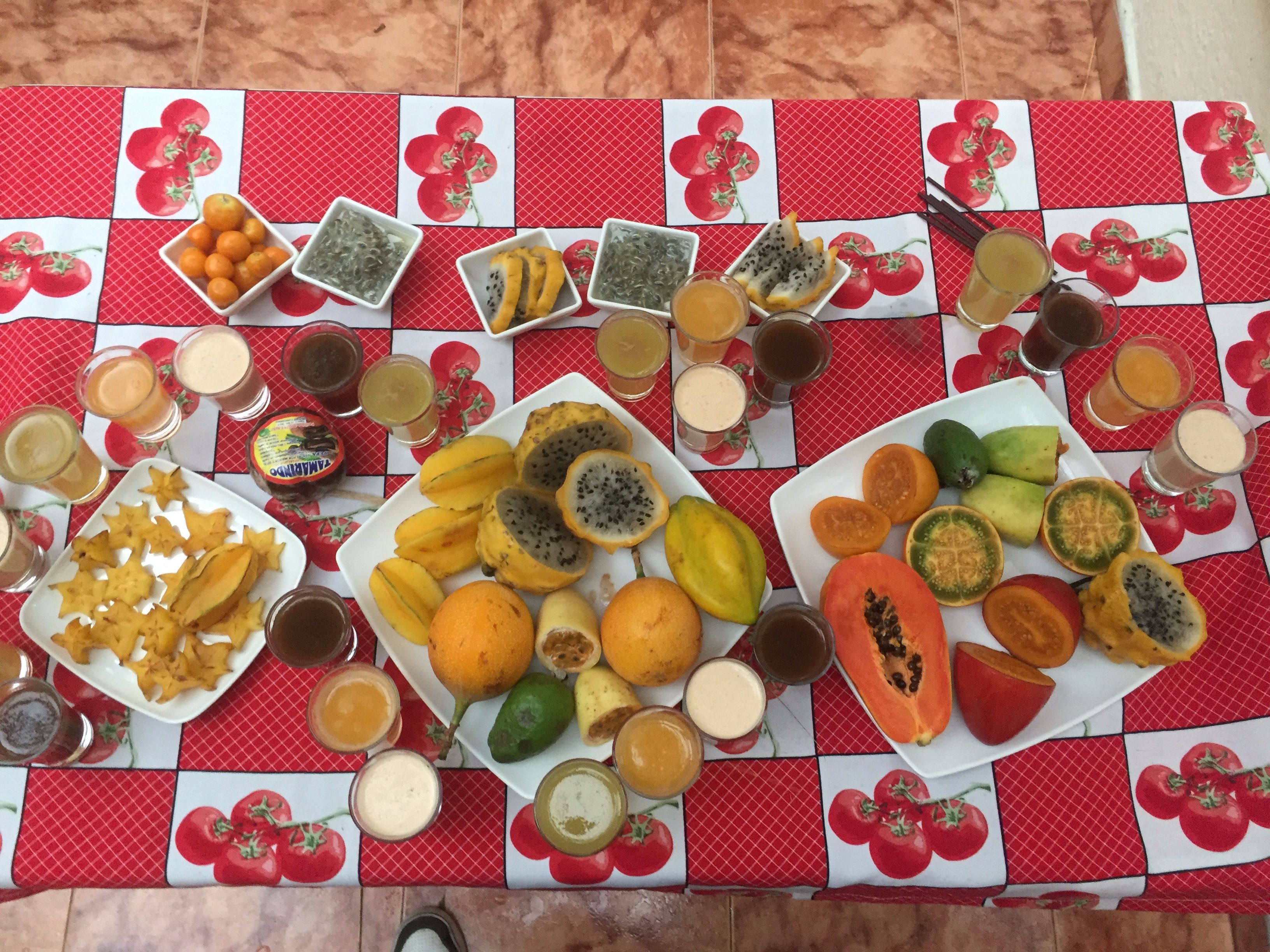 Cooking Class in a Typical Colombian House: Fruits, Cocktails, Fun and a Lot of Food!