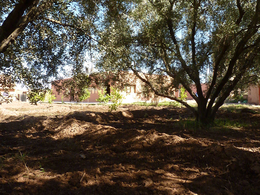 Moroccan Cooking Class on a Farm by L'Atelier Faim d'Epices